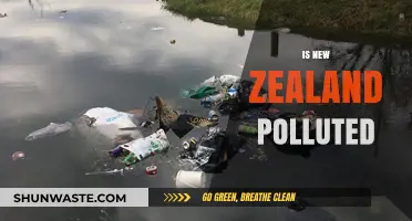 The Pollution Problem in New Zealand