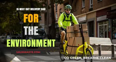 Next Day Delivery: Environmental Impact and Sustainable Alternatives Explored