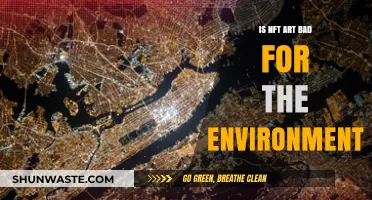NFT Art's Environmental Impact: Sustainable or Harmful for Our Planet?
