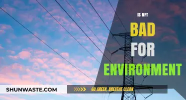 NFTs and Environmental Impact: Uncovering the Hidden Ecological Costs
