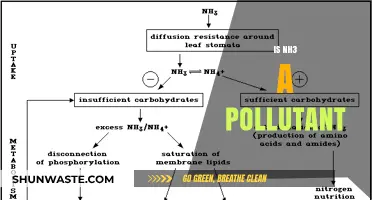 Ammonia's Impact: Understanding NH3's Pollution Potential