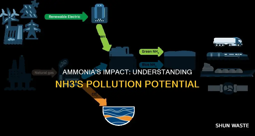 is nh3 a pollutant
