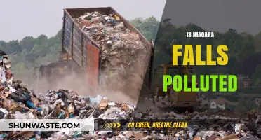 Niagara Falls: Polluted Paradise?