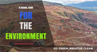 Nickel's Environmental Impact: Benefits, Risks, and Sustainable Practices Explored