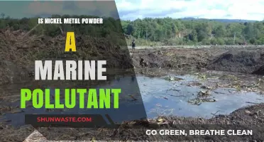 Nickel Metal Powder: Ocean Contamination and its Impact