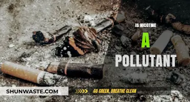 Nicotine: A Harmful Pollutant or Not?