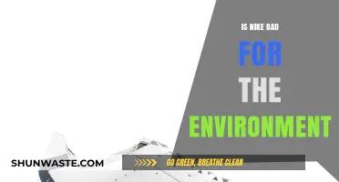 Nike's Environmental Impact: Sustainable Practices or Eco-Unfriendly Choices?