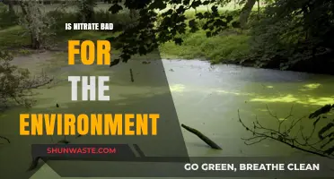 Nitrate's Environmental Impact: Harmful Effects and Sustainable Solutions Explored