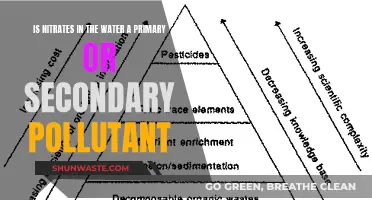 Unraveling the Mystery: Nitrates in Water - Primary or Secondary?