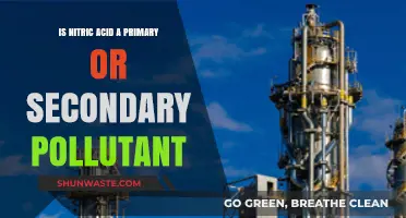 What Type of Pollutant is Nitric Acid?
