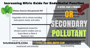 Nitric Oxide: Primary or Secondary Pollutant?
