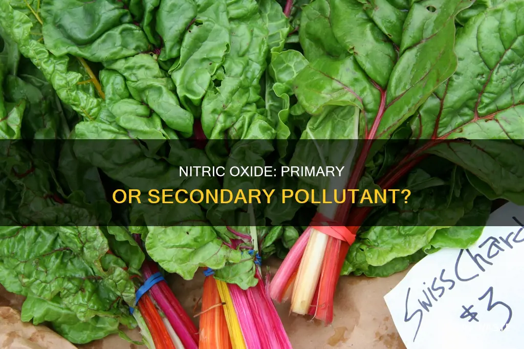 is nitric oxide a primary or secondary pollutant