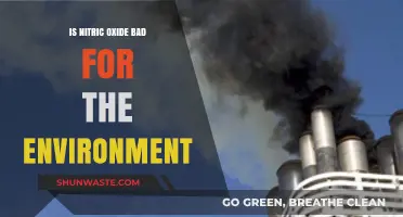 Nitric Oxide's Environmental Impact: Harmful Pollutant or Necessary Evil?