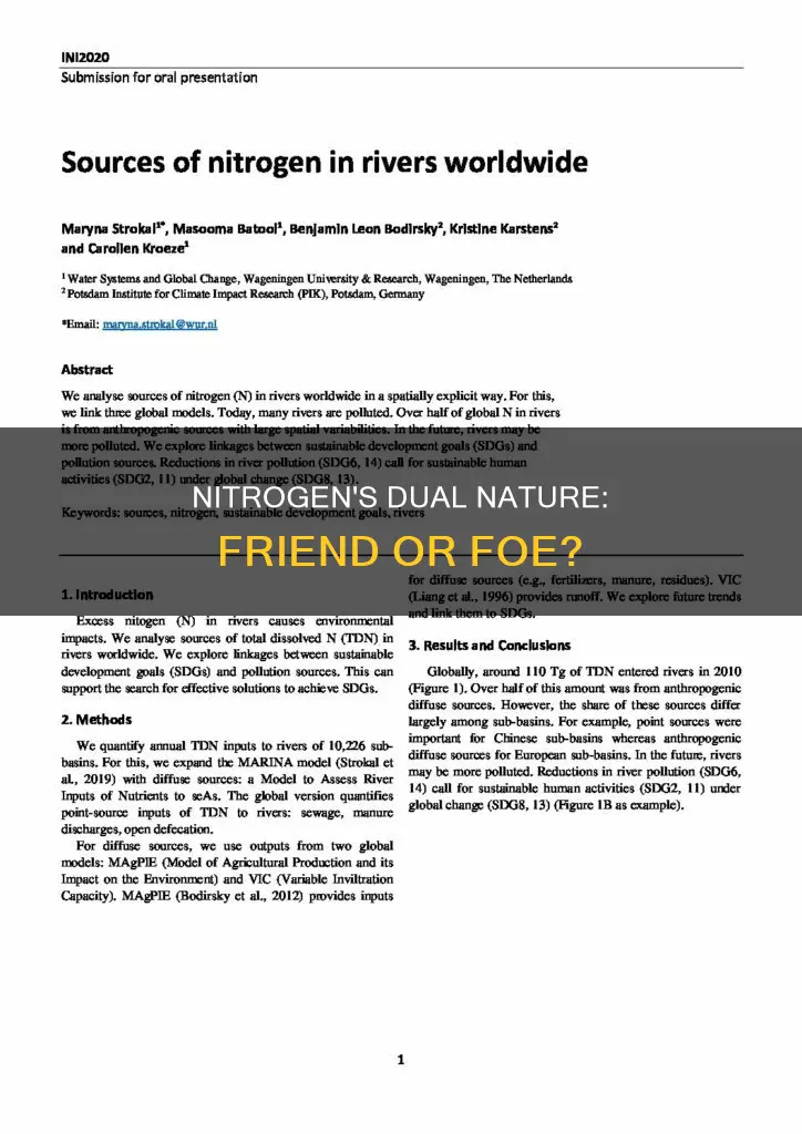 is nitrogen a pollutant