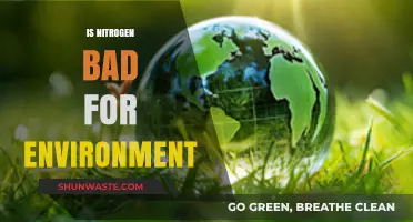 Nitrogen's Environmental Impact: Friend or Foe to Our Planet?