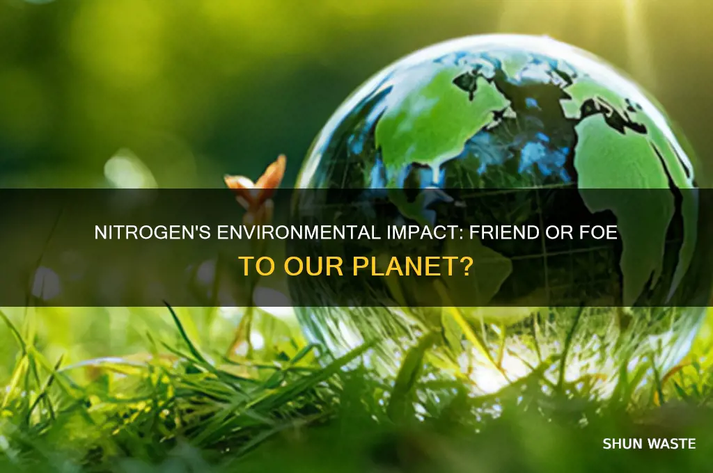 is nitrogen bad for environment
