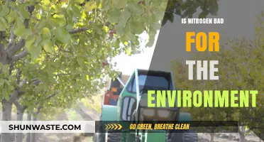 Nitrogen's Environmental Impact: Balancing Benefits and Ecological Consequences