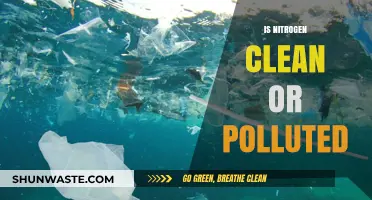 Nitrogen's Clean vs Polluted: What's the Real Story?