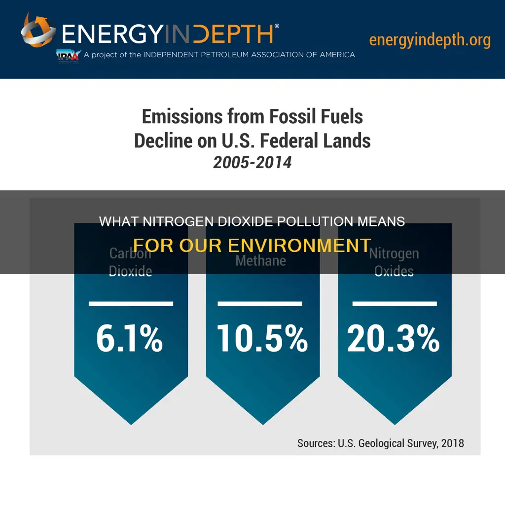 is nitrogen dioxide a primary or secondary pollutant