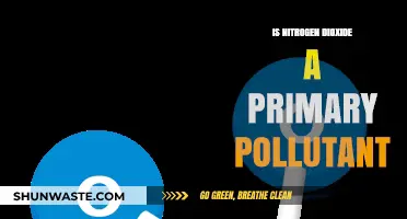 Nitrogen Dioxide: Primary Pollutant or Secondary Concern?