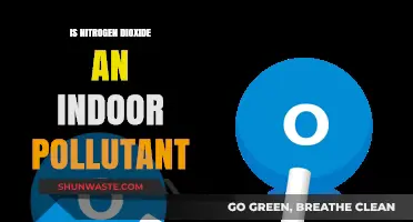 Nitrogen Dioxide: An Indoor Air Pollutant?