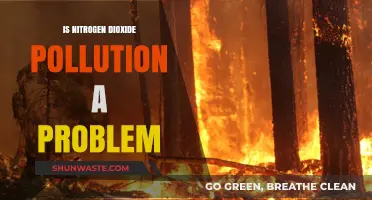 Nitrogen Dioxide Pollution: A Growing Concern?