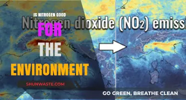 Nitrogen's Environmental Impact: Benefits, Risks, and Sustainable Practices Explored