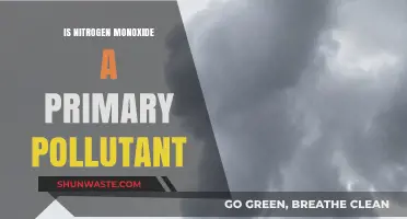 Nitrogen Monoxide: Primary Pollutant or Not?