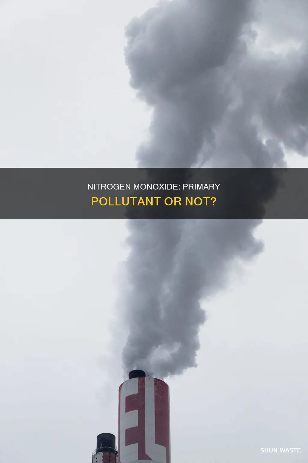 is nitrogen monoxide a primary pollutant