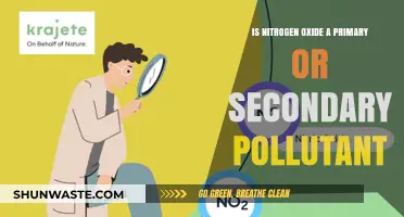 Nitrogen Oxide: Primary or Secondary Pollutant?