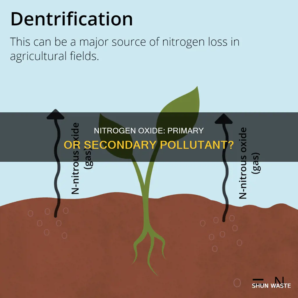 is nitrogen oxide a primary or secondary pollutant