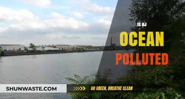 Ocean Pollution in New Jersey: Is It Getting Worse?