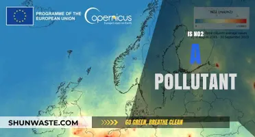 Nitrogen Dioxide: Harmful Air Pollutant or Necessary Evil?