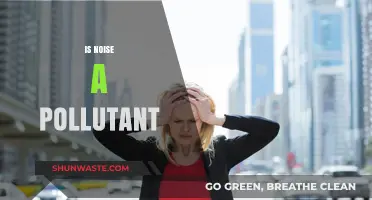 Noise: A Harmful Pollutant?