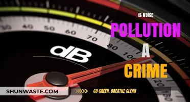 The Criminal Impact of Noise Pollution