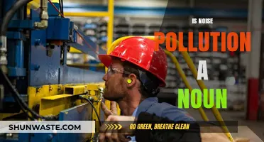 The Intriguing Question: Noise Pollution's Grammatical Status