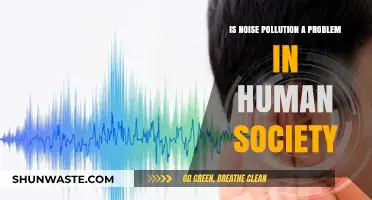 Noise Pollution: A Growing Concern for Human Wellbeing