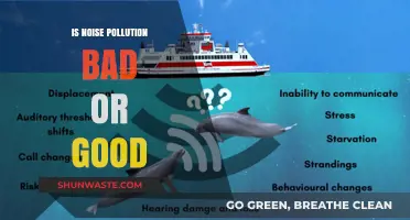 Noise Pollution: Bane or Boon?