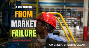 Market Failure: The Cost of Noise Pollution