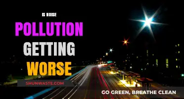 The Growing Menace of Noise Pollution