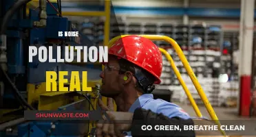 Noise Pollution: A Real Threat to Our Health?