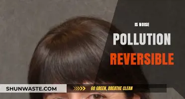 Reversing Noise Pollution: Is It Possible?
