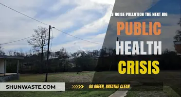 Noise Pollution: The Next Public Health Emergency?