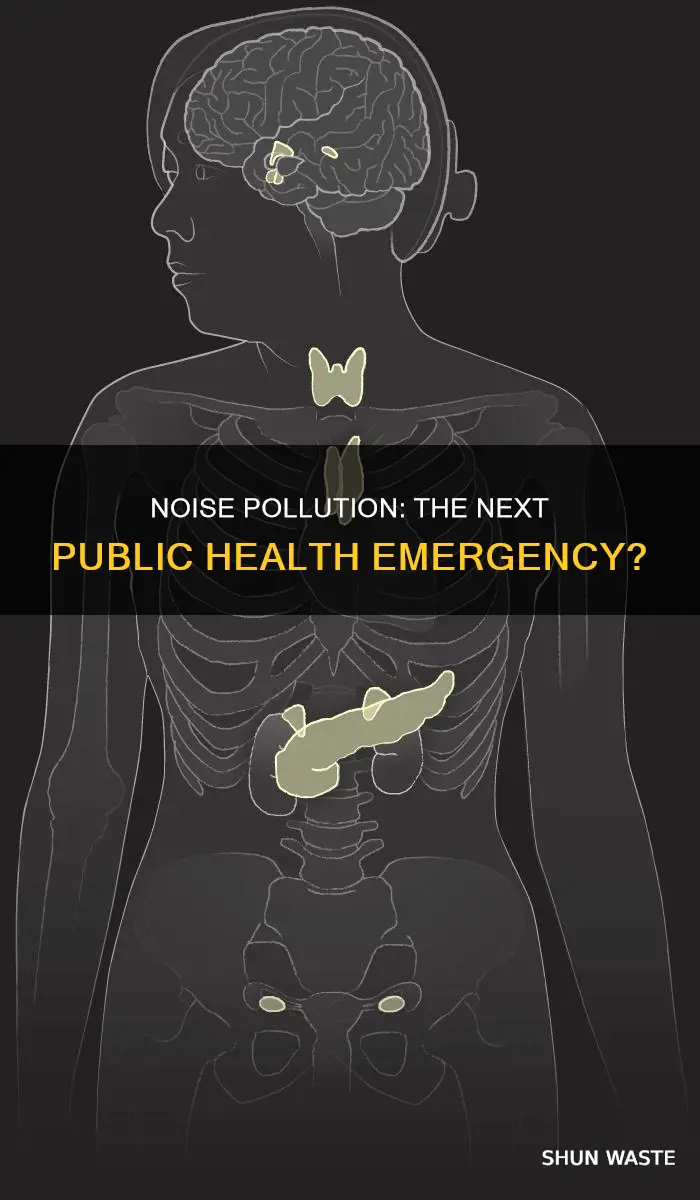 is noise pollution the next big public health crisis