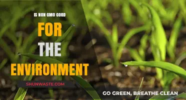Non-GMO Crops: Environmental Benefits and Sustainable Farming Practices
