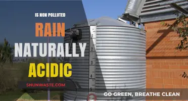 How Acidic is Natural Rain?