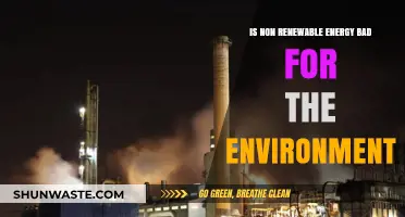 Non-Renewable Energy's Environmental Impact: Harmful or Sustainable?