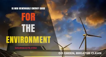 Non-Renewable Energy: Environmental Impact and Sustainable Alternatives Explored