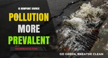 Nonpoint Source Pollution: A Growing Environmental Concern?