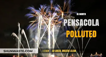 Pensacola's North: A Polluted Paradise?